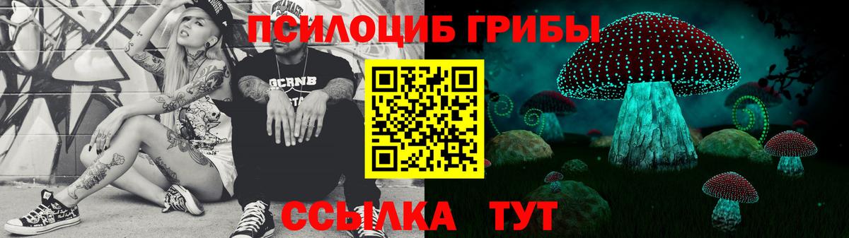 Спасск-Дальний  Галлюциногенные грибы ЛСД  Вход с VPN 